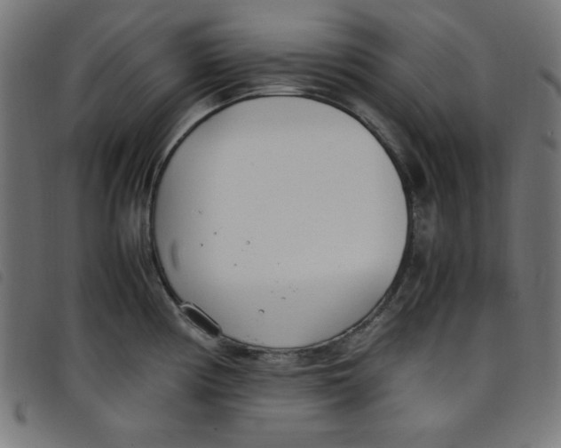 X0000098101194200804251357