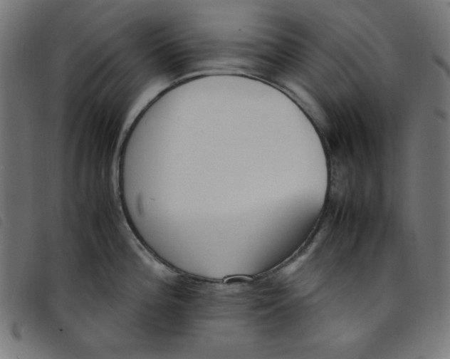 X0000098101196200804251357