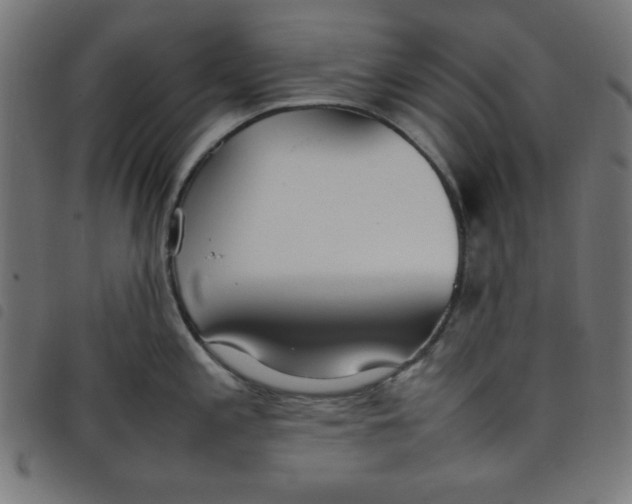X0000098101197200804251357