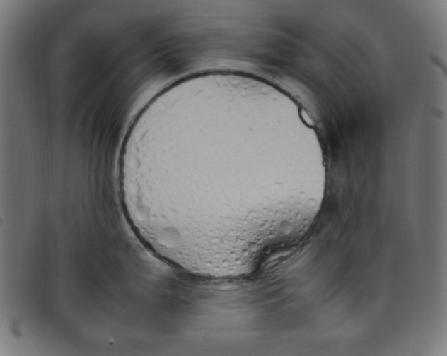 X0000098101199200804251357