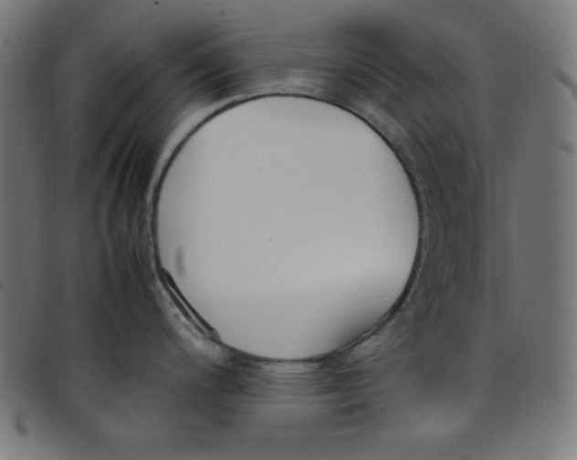 X0000098101200200804251357
