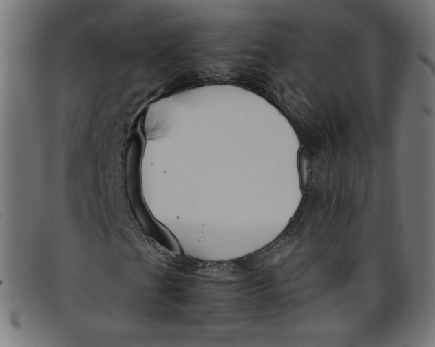 X0000098101201200804251356