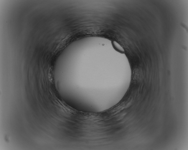 X0000098101202200804251356