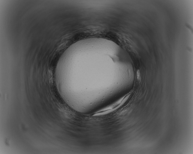 X0000098101203200804251356