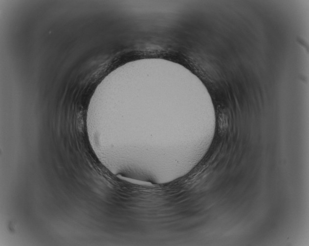 X0000098101204200804251356