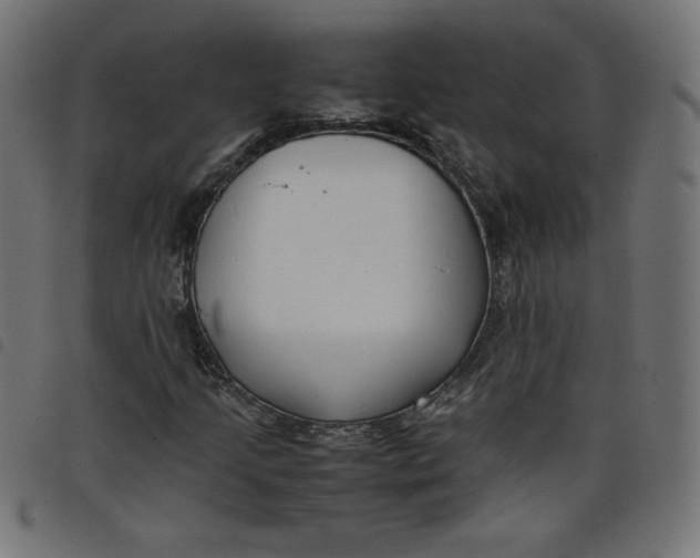 X0000098101205200804251356