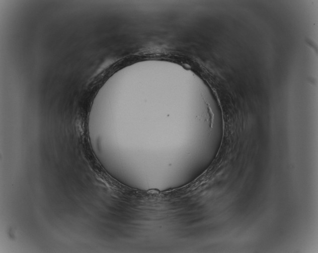 X0000098101206200804251356