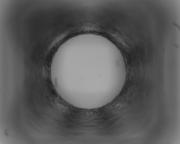 X0000098101207200804251356