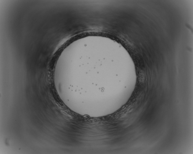 X0000098101208200804251356
