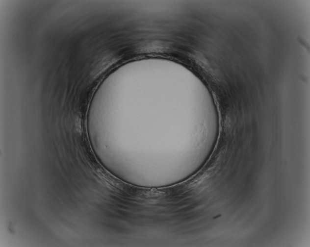 X0000098101209200804251356