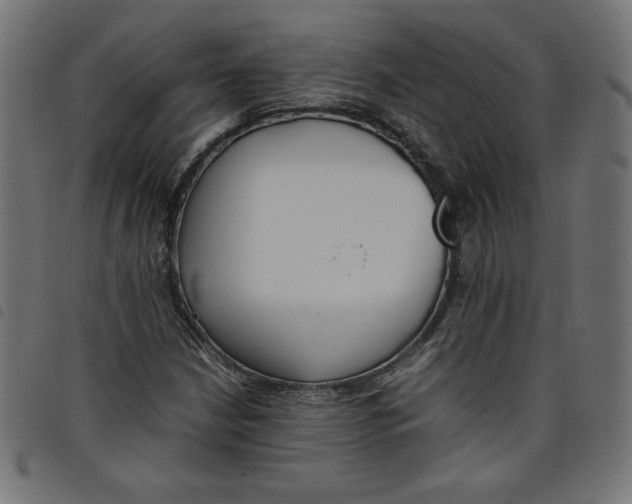 X0000098101210200804251356