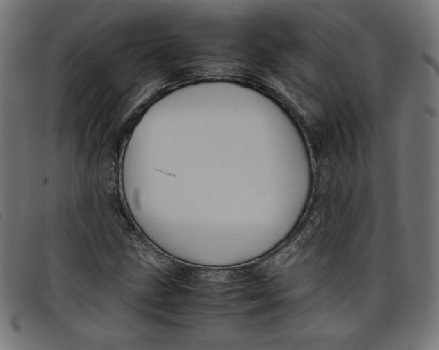 X0000098101211200804251356
