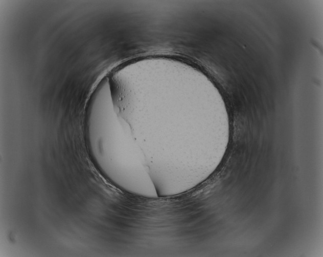 X0000098101212200804251356
