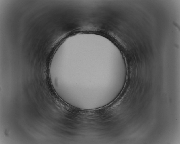X0000098101213200804251356