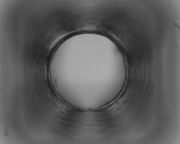X0000098101214200804251356