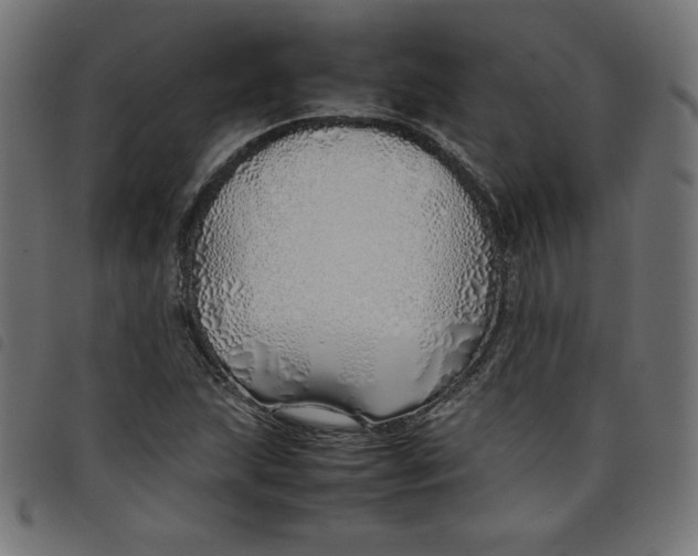 X0000098101215200804251356