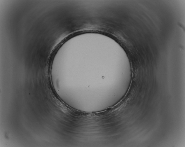 X0000098101216200804251356