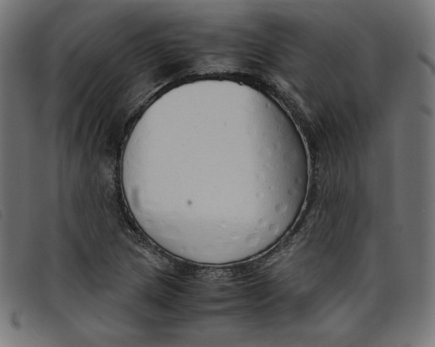 X0000098101217200804251357