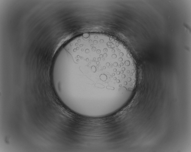 X0000098101218200804251357