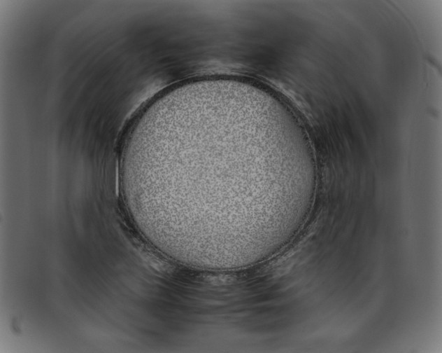 X0000098101219200804251357
