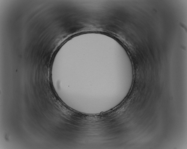 X0000098101220200804251357