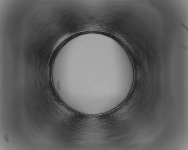 X0000098101222200804251357