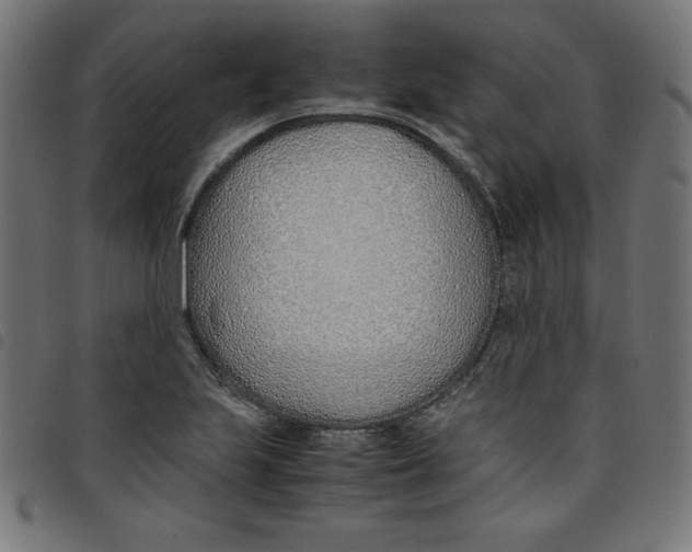 X0000098101223200804251357
