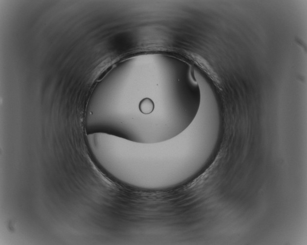 X0000098101225200804251357