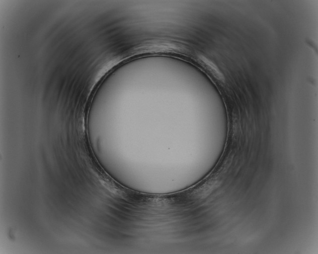 X0000098101226200804251357