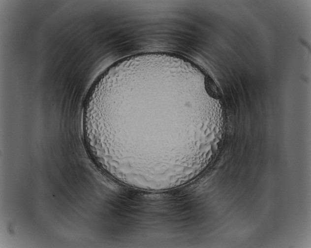 X0000098101227200804251357