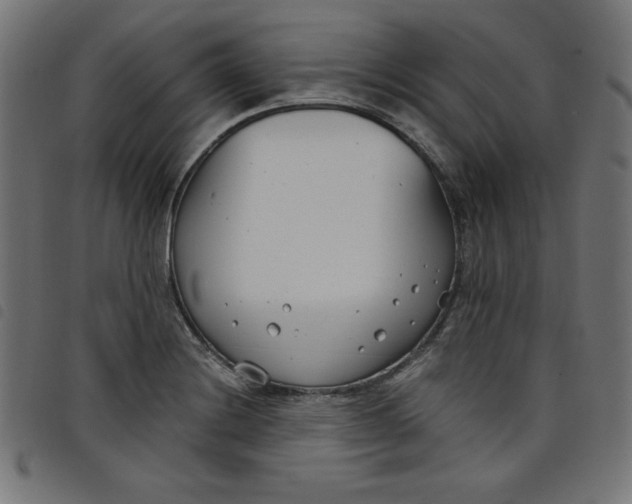 X0000098101228200804251357