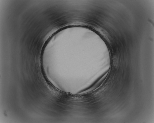 X0000098101229200804251357