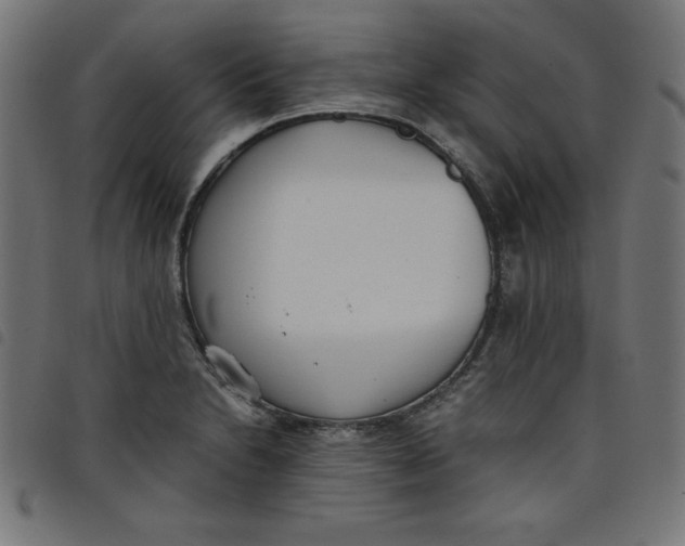 X0000098101230200804251357