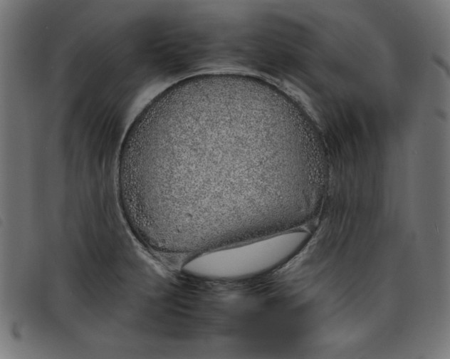 X0000098101231200804251357