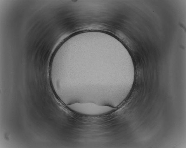 X0000098101232200804251357