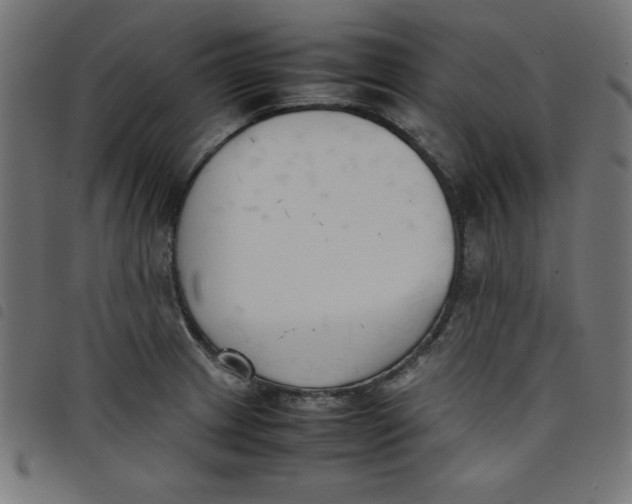 X0000098101233200804251357