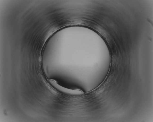 X0000098101234200804251357