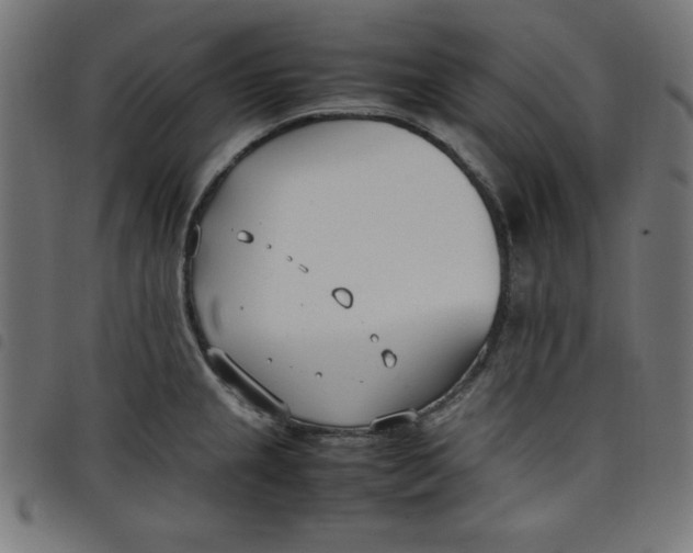 X0000098101237200804251357