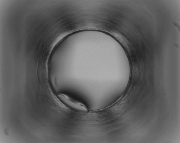 X0000098101238200804251357