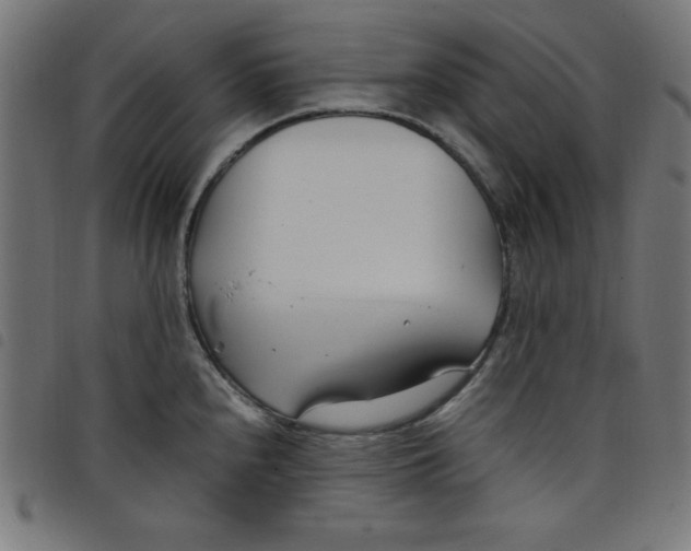 X0000098101240200804251357
