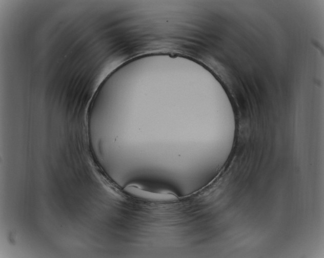 X0000098101242200804251357