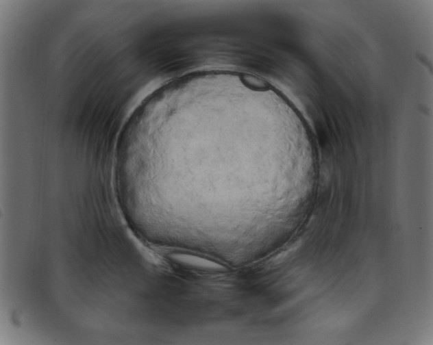 X0000098101245200804251357