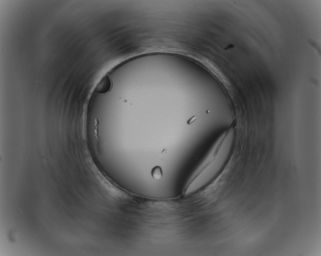 X0000098101246200804251357