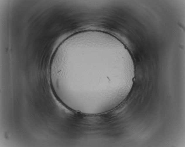 X0000098101247200804251357