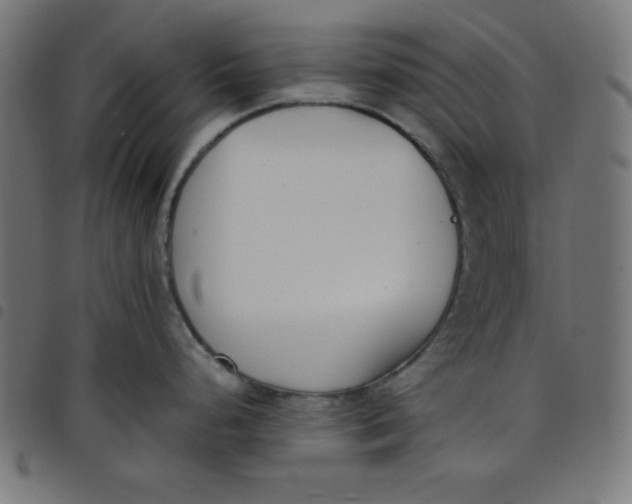 X0000098101248200804251357