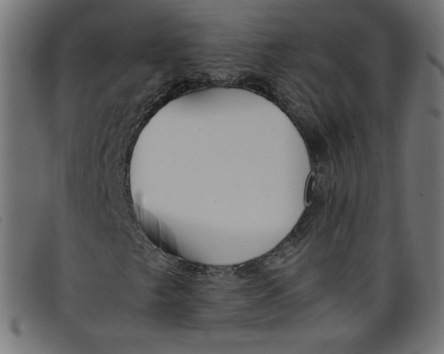 X0000098101249200804251356