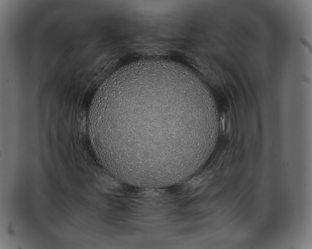 X0000098101251200804251356