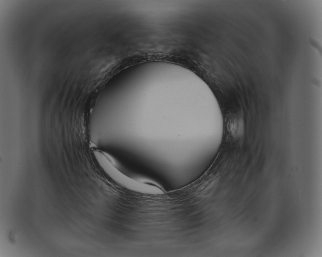 X0000098101252200804251356