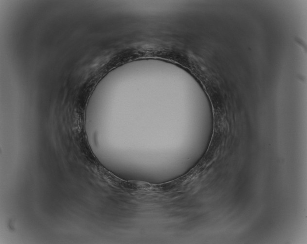 X0000098101253200804251356