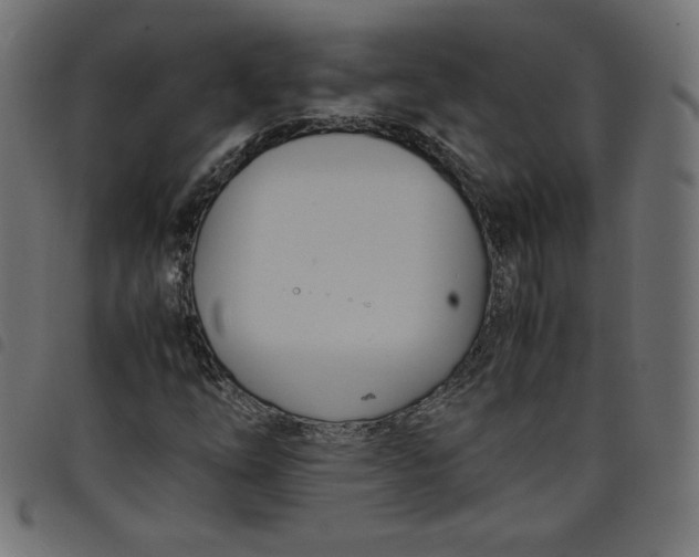 X0000098101254200804251356